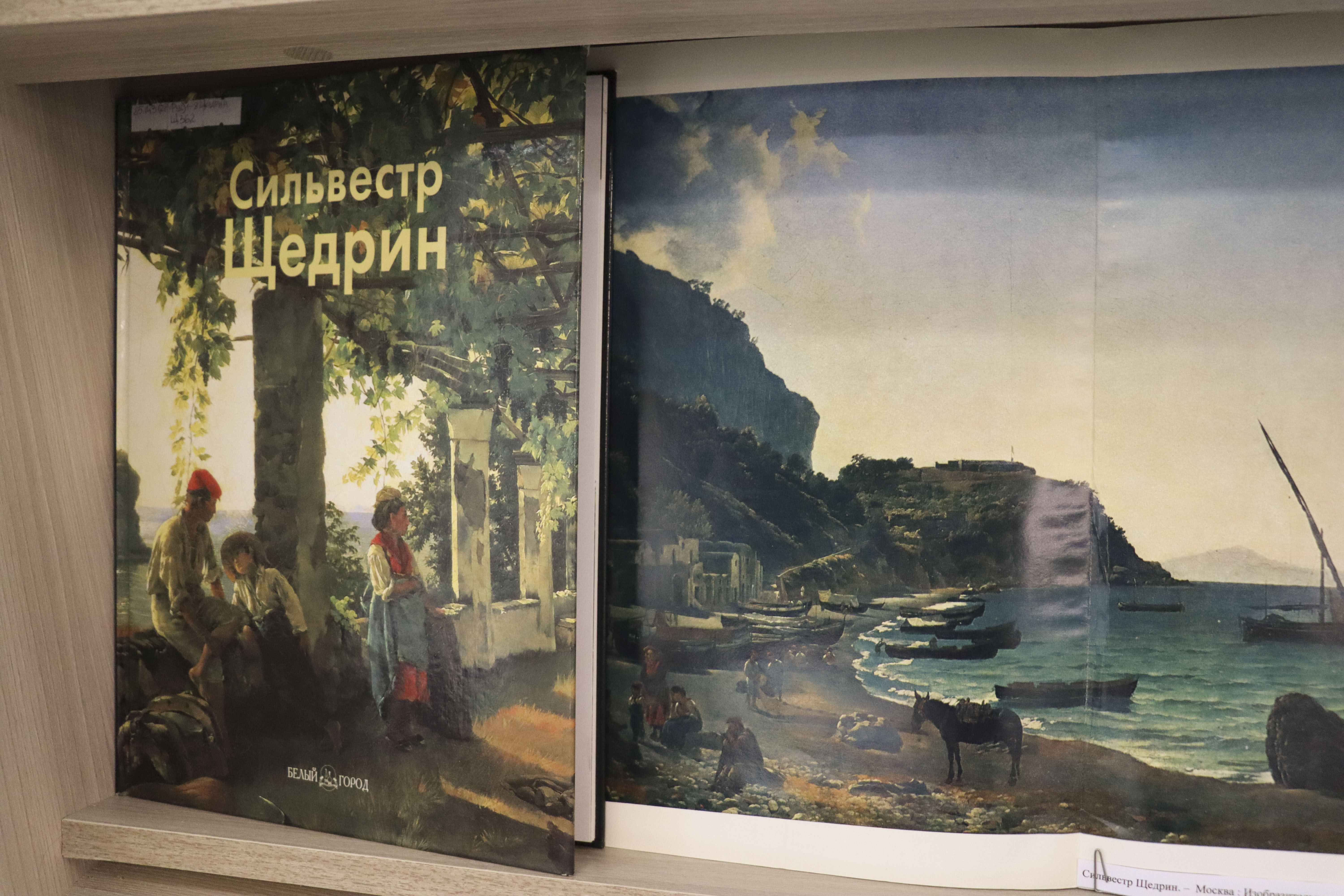 © Фото ОГОНБ имени А. С. Пушкина / Автор: Мария Кипреева