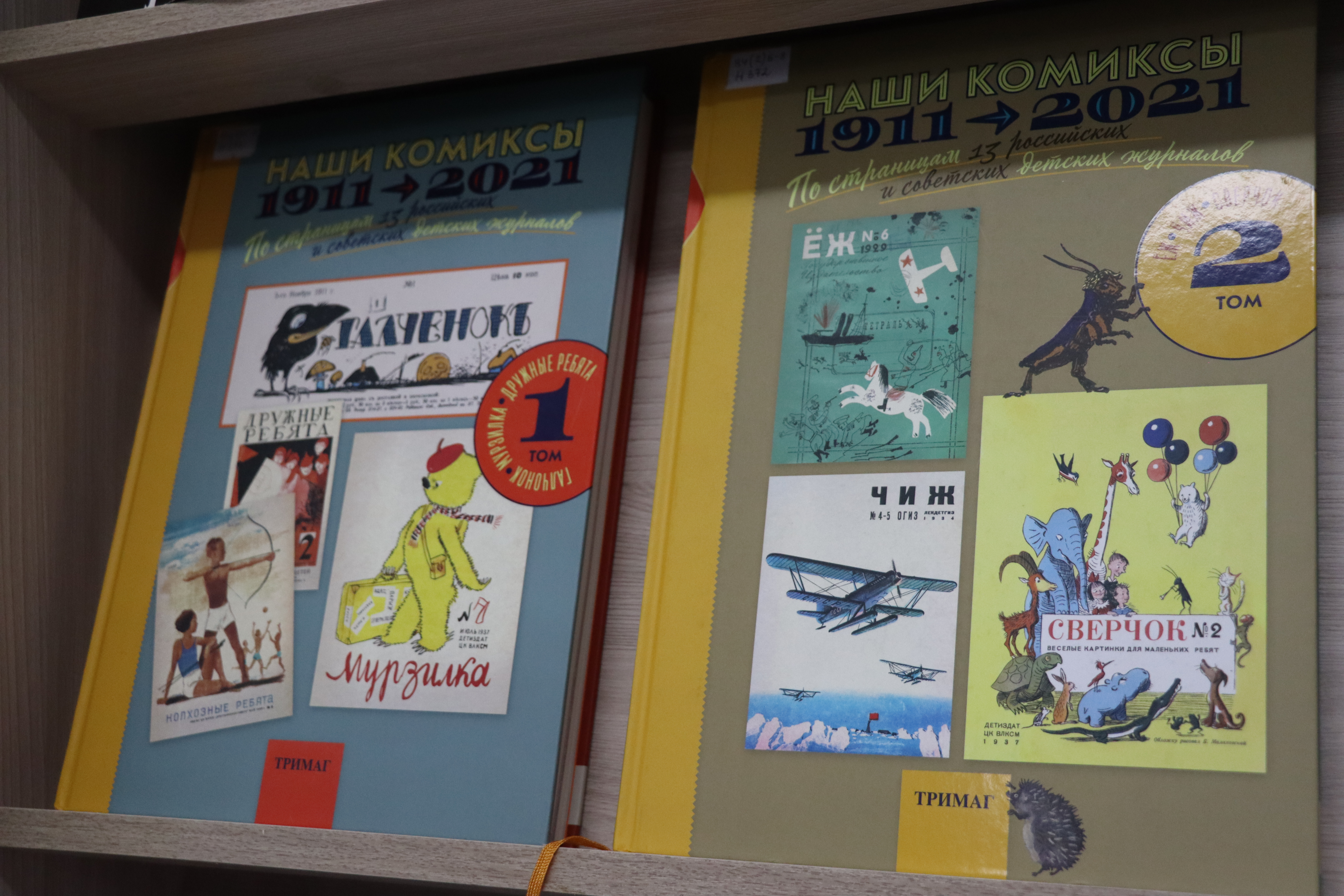 © Фото ОГОНБ имени А. С. Пушкина / Автор: Мария Кипреева